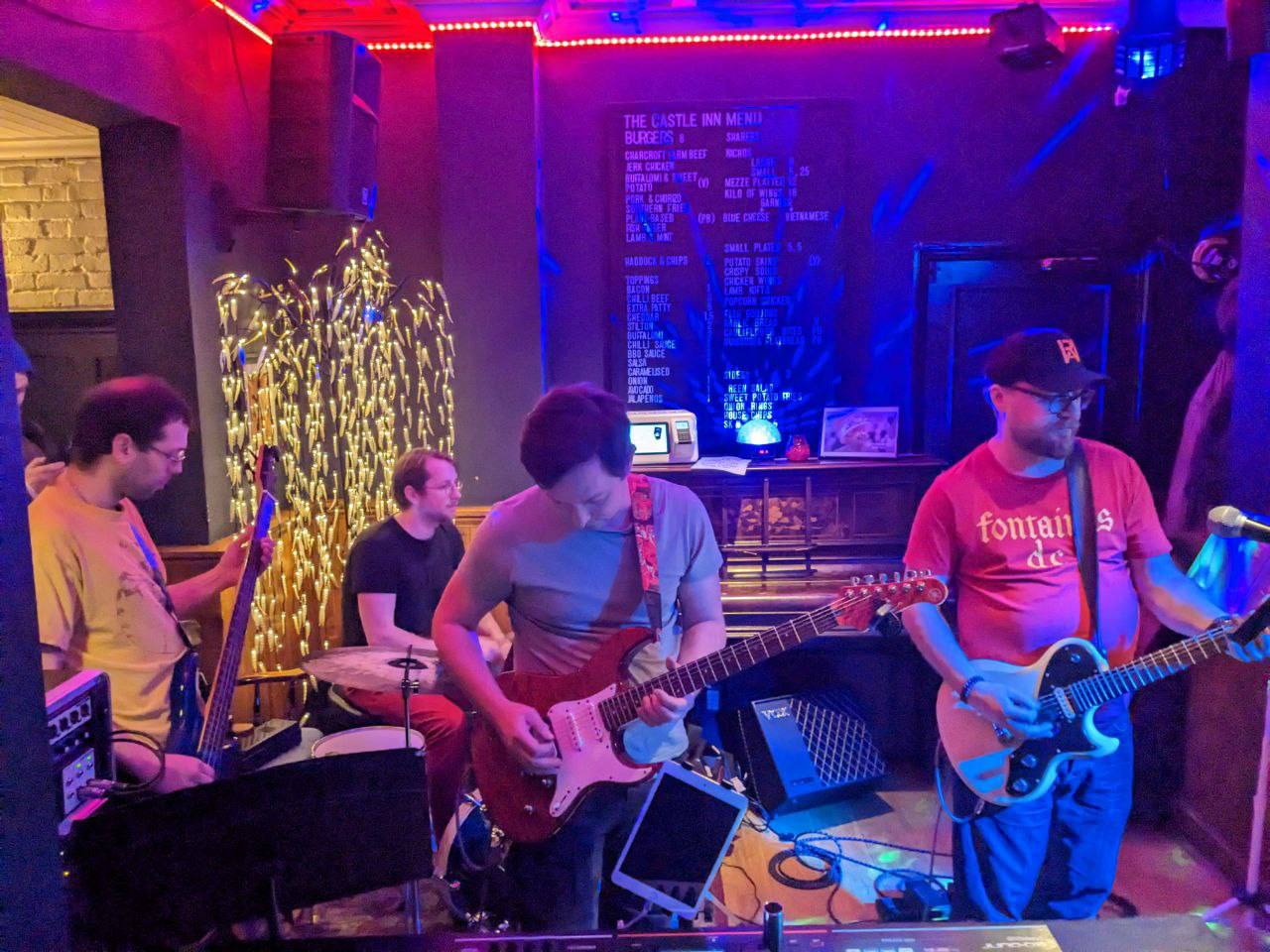 Beach Animals Live