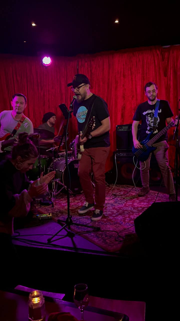 Beach Animals Live
