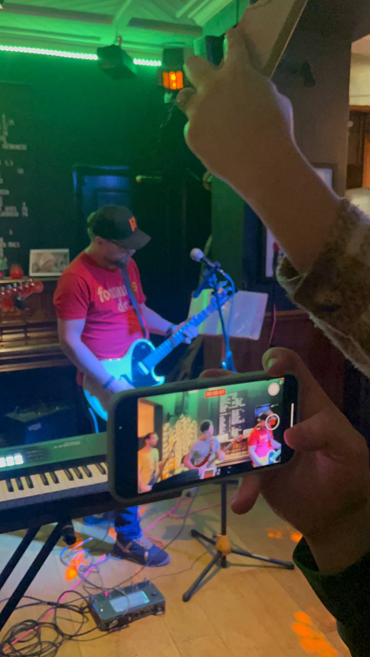 Beach Animals Live