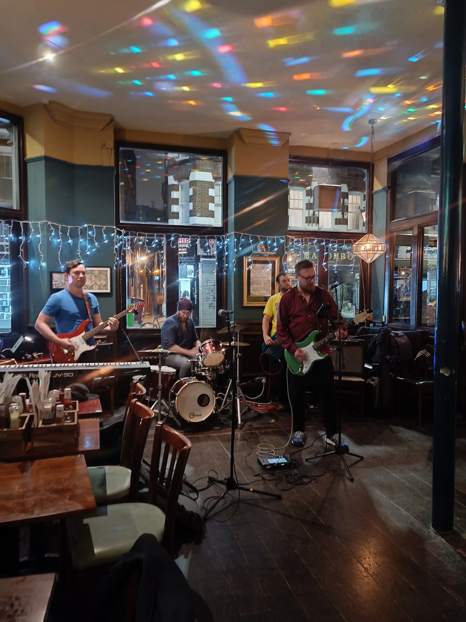 Beach Animals Live