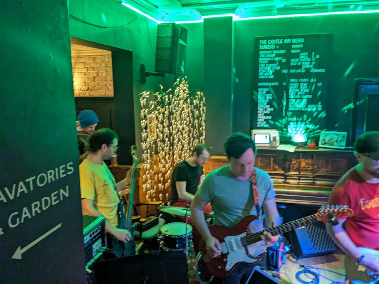 Beach Animals Live